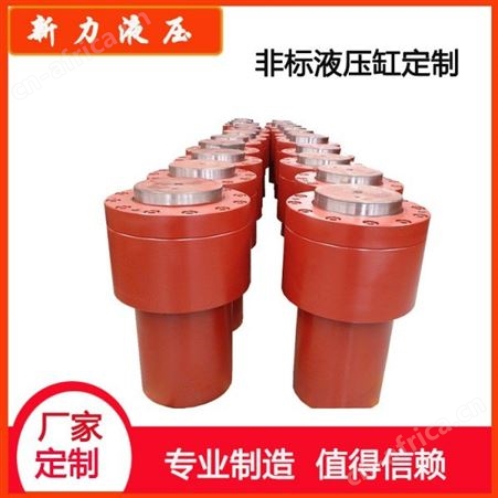 新力液压 立式液压缸 生产液压缸厂家