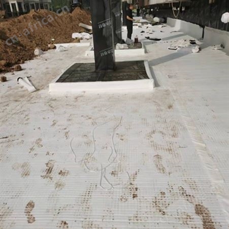 浙江车库顶板虹吸排水系统 h-14mm高分子排水异形片 多规格抗压高