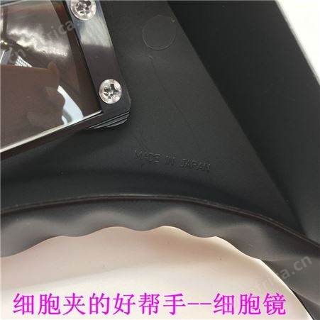 PEAK东海必佳2035-II头戴式高清放大镜 护眼大倍数美容细胞镜