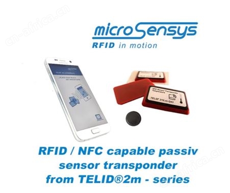 TELID 281.3Dm加速传感器microsensys RFID传感器应答器