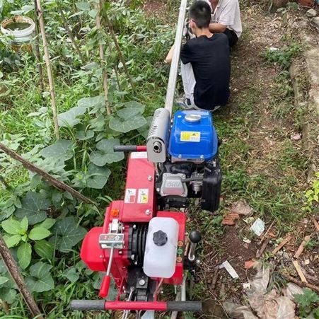 山地果园运输车 茶园单轨运输车 果园轨道运输车