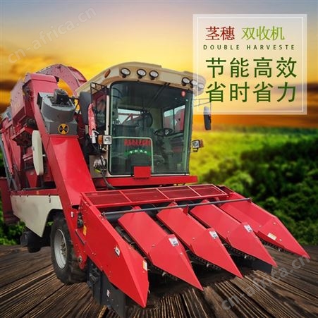 多刀片滚筒式 全自动茎穗双收青储机 单行多功能玉米收获机
