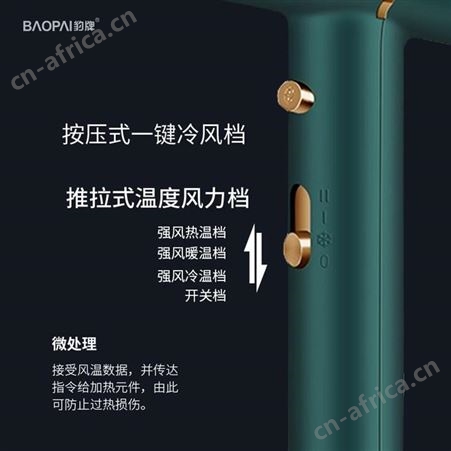 豹牌 电吹风 BP-HD233 美誉员工礼品定制 礼品公司加盟 MY-BPKJ-L5-25
