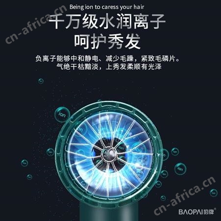 豹牌 电吹风 BP-HD233 美誉员工礼品定制 礼品公司加盟 MY-BPKJ-L5-25