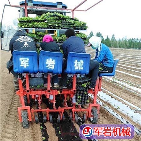 辣椒移栽机 白菜移栽机 甘蓝移栽机 各种蔬菜移栽机 青州市岩机械荣誉出品