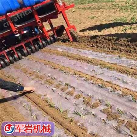 洋葱移栽机 陕西洋葱种植机批发 洋葱膜上大田移栽机视频 欢迎到厂参观指导