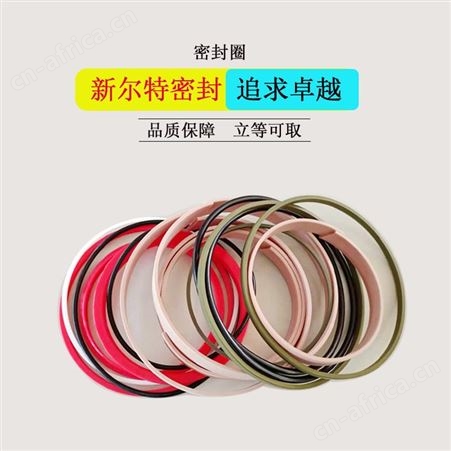 车削聚四氟乙烯异型密封件气缸用A新尔特制作