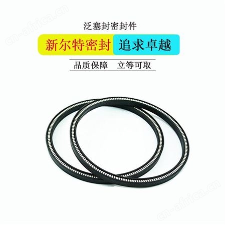 组合活塞用聚四氟乙烯FKM密封圈A新尔应多种规格