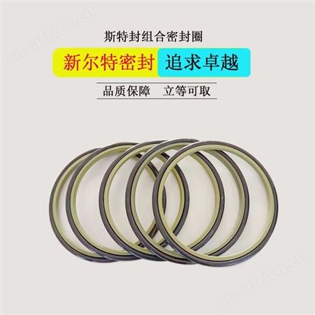 耐高温斯特封多级缸用密封圈A新尔特密封件多种规格