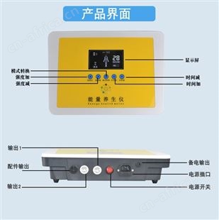 健康养生按摩器 能量养生仪 dds经络理疗疏通仪厂家