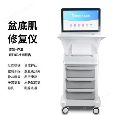 盆底肌修复仪 盆骨腹直肌修复仪器 带电脑报告打印 保养修复仪