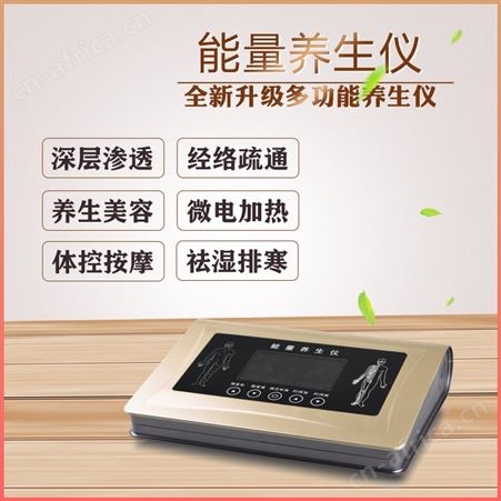 能量养生仪 2021新升级版 经络理疗调理仪 酸碱平dds按摩器厂家