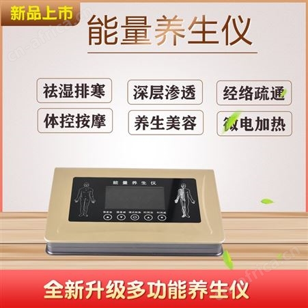 能量养生仪 2021新升级版 经络理疗调理仪 酸碱平dds按摩器厂家
