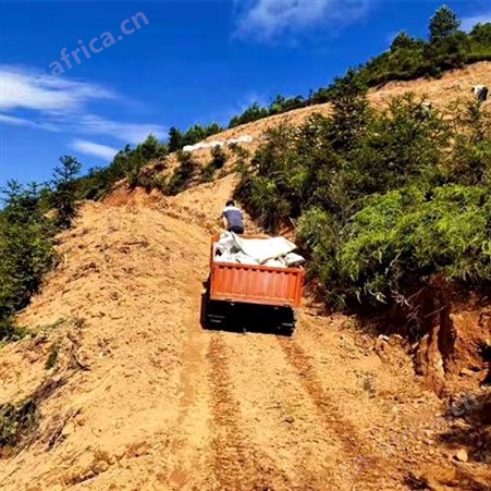 10吨微型履带搬运车 橡胶山地履带搬运车