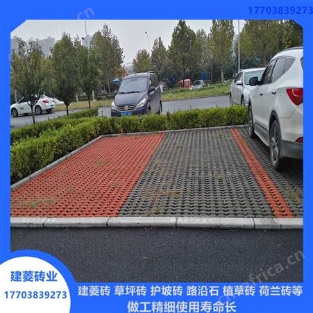 井字植草砖 停车场植草砖 耐腐蚀植草砖厂家