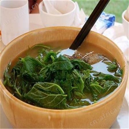 高蛋白桑叶茶   杨留跃农业自产自销