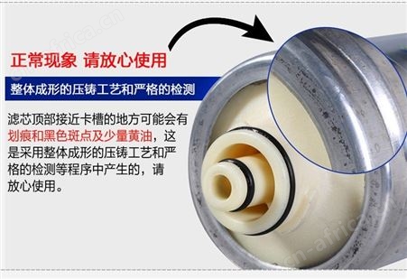 滨特尔pentair爱惠浦4FCS净水机器4FC-S大流量双联直饮机过滤器