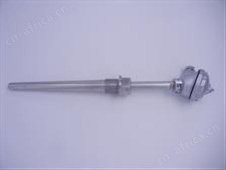 WZ系列Pt100耐磨热电阻