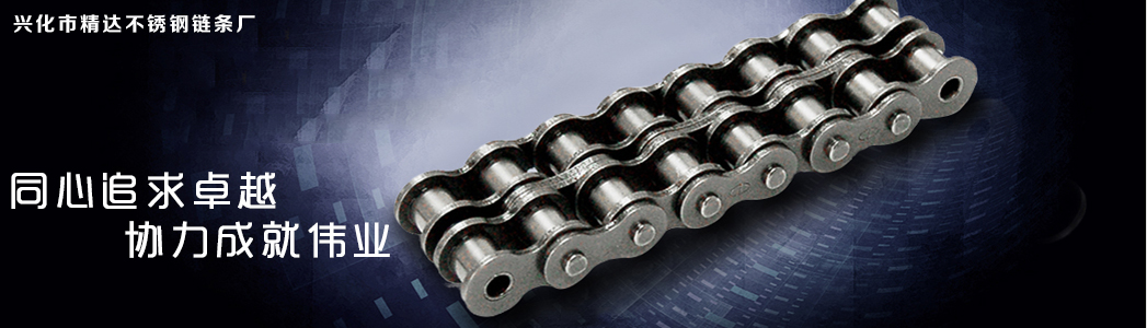 不锈钢输送链条 不锈钢输送链条