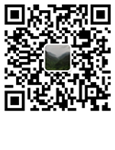 柴油发电机组