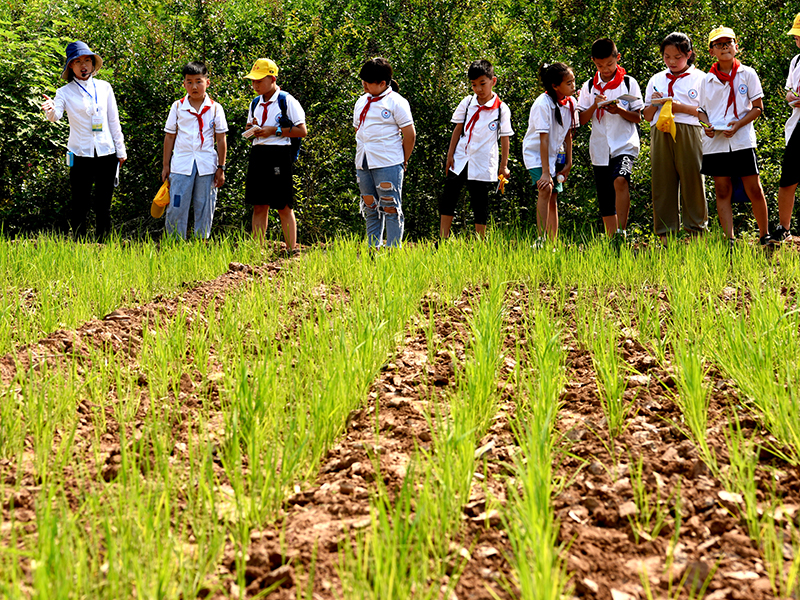 测土配方施肥仪