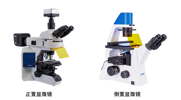 显微镜.jpg 显微镜.jpg