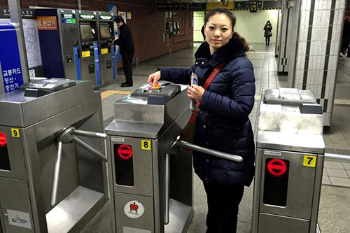 摆闸门尺寸_摆闸功能